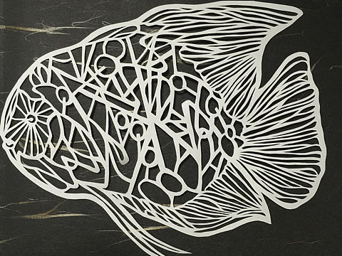 同样的事物不同的风彩