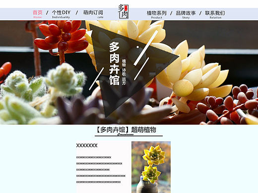 UI-多肉植物网站首页
