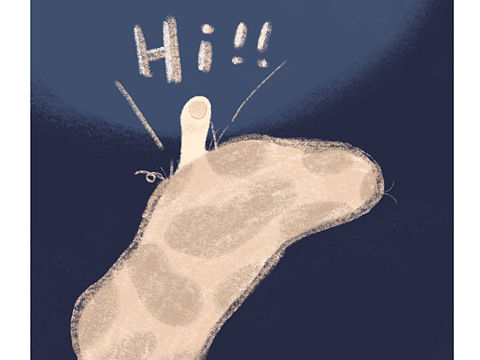 ??（個人主頁-ZNDI5NzkwODQ=） - 創(chuàng)作習(xí)作 - 站酷設(shè)計(jì)師大姚啊大姚原創(chuàng)素材 - 站酷ZCOOL