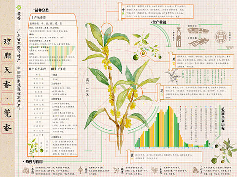 《菀彼莞草·琼脂天香》东莞特色主题可视化