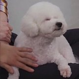 窝瓜在钢筋水泥的头像