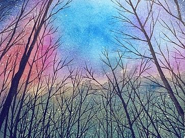 夜空下的树