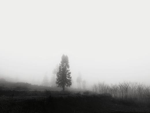 雾（个人主页-ZNTcyMjc4MTY=） - 风光摄影 - 站酷设计师木子山水寿原创素材 - 站酷ZCOOL