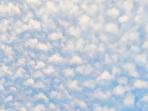 不煽情（个人主页-ZMzI1NDA0MDQ=） - 其他平面 - 站酷设计师岁聿原创素材 - 站酷ZCOOL