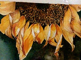 沒(méi)有太陽(yáng)的