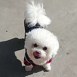 爱笑Dd眼睛的头像