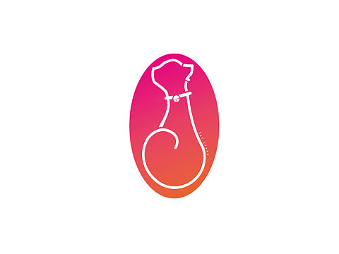[2019] LOGO DESIGN 2. 三脚猫 （Kay Zhang）