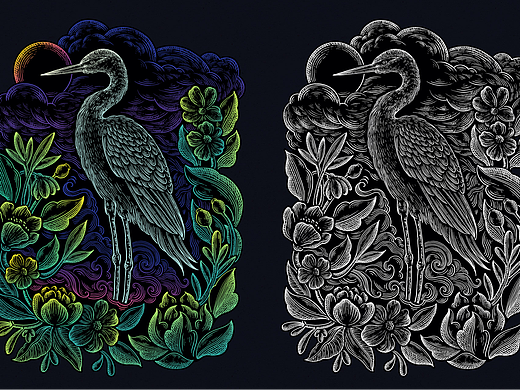 珍稀动物《鹤》线性插画