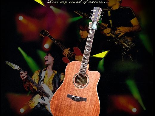 吉他 单板吉他详情