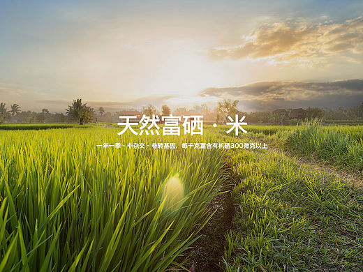 大家发食品网页设计