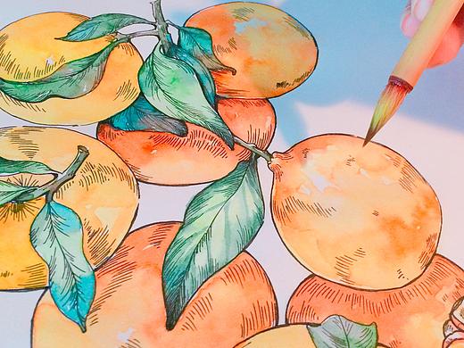 水彩橘子（个人主页-ZMTg1OTgzNzY=） - 创作习作 - 站酷设计师团子_Elynn原创素材 - 站酷ZCOOL