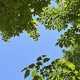 等小雨的头像
