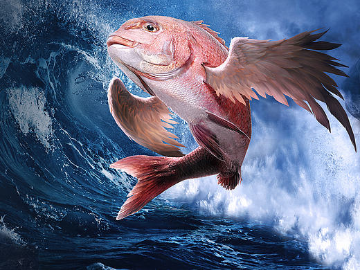 《山海经》赢鱼