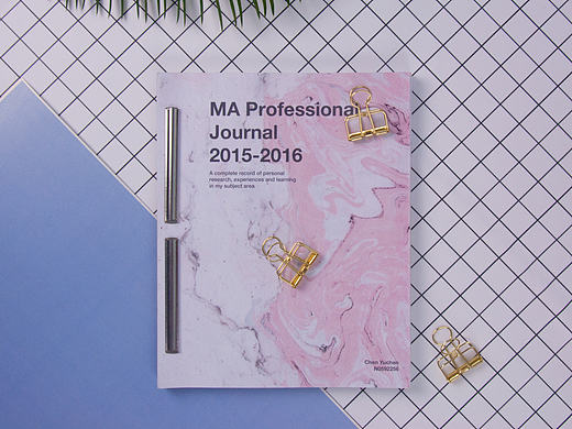 MA Professional Journal 2015-2016