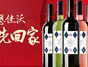 红红火火年货节页面