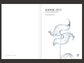 深圳水务集团企业年报