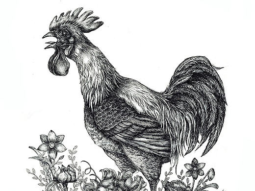 2017把握鸡会针管笔手绘