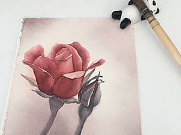 【生如夏花】系列