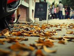 20120318.天晴（個人主頁-ZMTI0MTU3Mg==） - 其他攝影 - 站酷設(shè)計師Riki原創(chuàng)素材 - 站酷ZCOOL