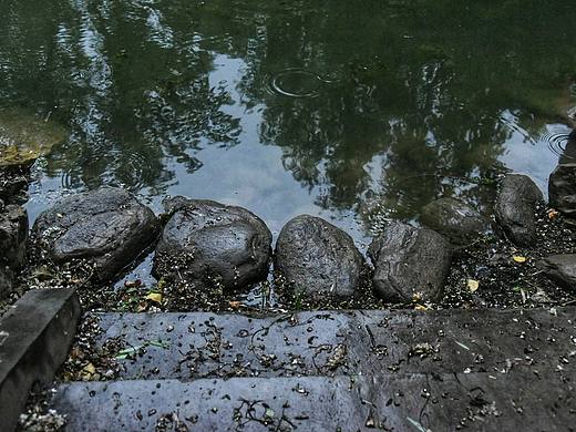 幽径（个人主页-ZMzgyMDcyNjg=） - 风光摄影 - 站酷设计师一颗毛桃丶原创素材 - 站酷ZCOOL