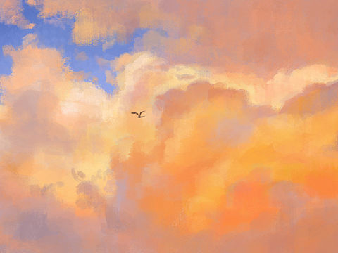 色彩60天挑战赛