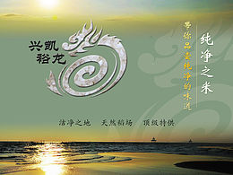 PPT工作篇