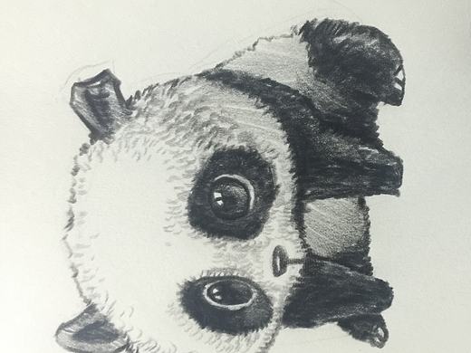 《手绘》