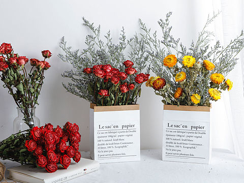 云南昆明斗南干花自家种植