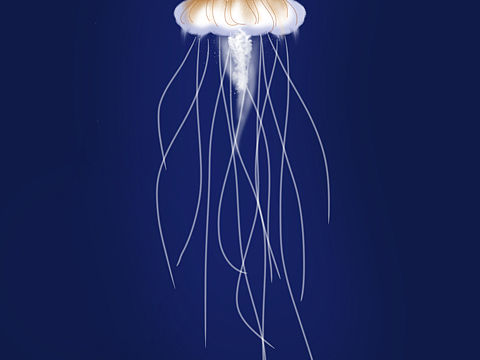 水母（個人主頁-ZNDk0MzcwNDQ=） - 藝術插畫 - 站酷設計師愛吃西瓜的螢原創(chuàng)素材 - 站酷ZCOOL