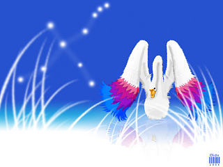 天鹅（个人主页-ZNjEzNDYwMA==） - 品牌 - 站酷设计师oidn原创素材 - 站酷ZCOOL