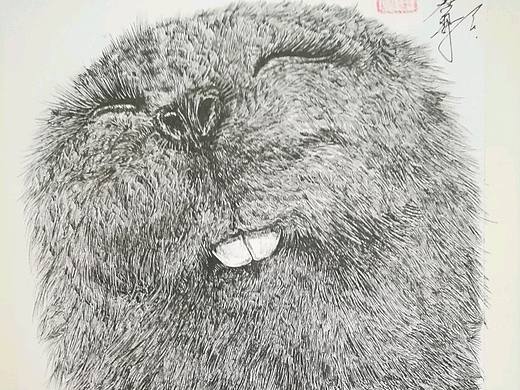 线线线线线线线线,很多线