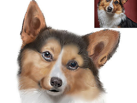 数位板手绘练习（个人主页-ZMTg0ODI2NjQ=） - 创作习作 - 站酷设计师mayidefei原创素材 - 站酷ZCOOL