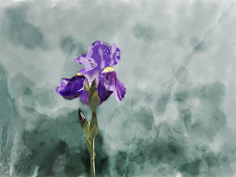 iPad仿水彩