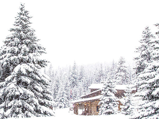 唯品-品购页-十月份档期