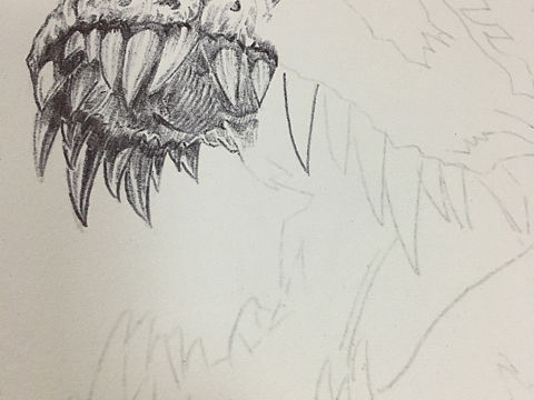 霸王龙🦖
