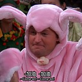 向日葵喜欢月亮的头像