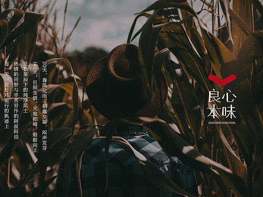 良心本味-璞珍源 五常好大米