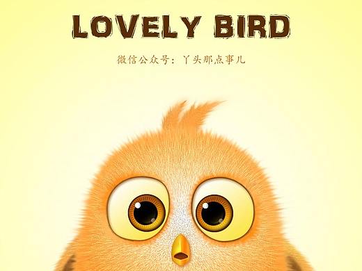 萌萌哒小鸟