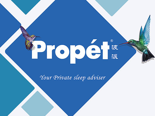 包装彩盒