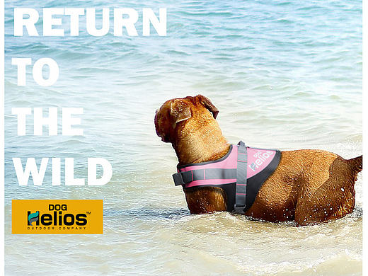 狗狗胸背衣（个人主页-ZMTYzNzgxNTY=） - 电商 - 站酷设计师ARCHY1996原创素材 - 站酷ZCOOL