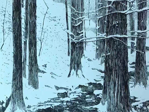 马国斌钢笔画：傲雪迎春