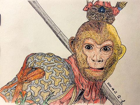 树上骑个猴一共几个猴