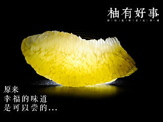 柚有好事LOGO提案