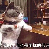 泡面啊的头像