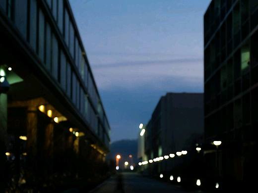 大连鲁美那些你错过的风景