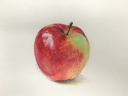 彩鉛畫(huà)蘋果