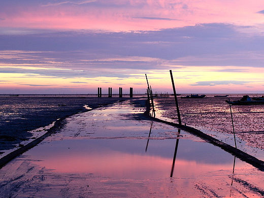 前方的路是不是布滿荊棘（個(gè)人主頁(yè)-ZMTUxMDYxNDg=） - 其他平面 - 站酷設(shè)計(jì)師陳曦Rainy原創(chuàng)素材 - 站酷ZCOOL