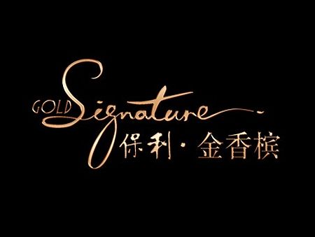 保利黄埔项提案设计