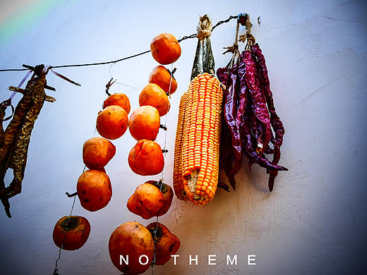 没有主题的一次摄影