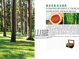 产品画册----巨宁地板产品画册设计